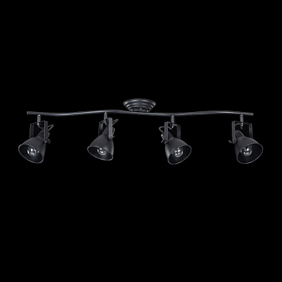 Спот Freya Loft FR4276-CW-04-B