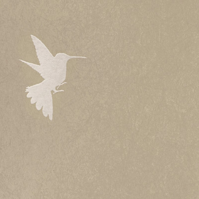 Обои 5071-6 Bernardo Bartalucci Legend Bernardo Bartalucci коллекция Legend производства Италия в интернет-магазине Обоитрейд