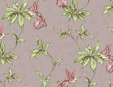 Обои HC71541-28 Home color Colibri