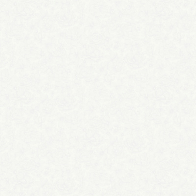 Обои W197101 Rasch Bright Whisper