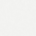 Обои W190001 Rasch Bright Whisper