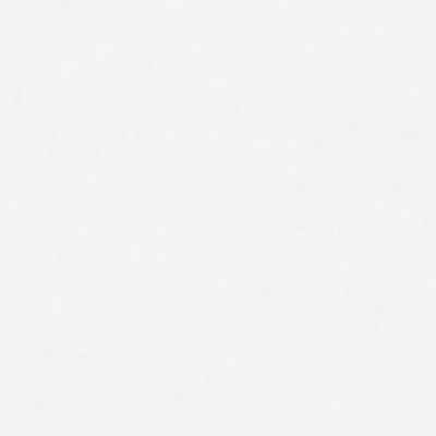 Обои W190001 Rasch Bright Whisper