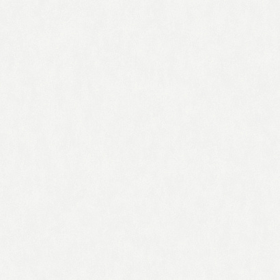 Обои W190001 Rasch Bright Whisper Rasch коллекция Bright Whisper производства  в интернет-магазине Обоитрейд