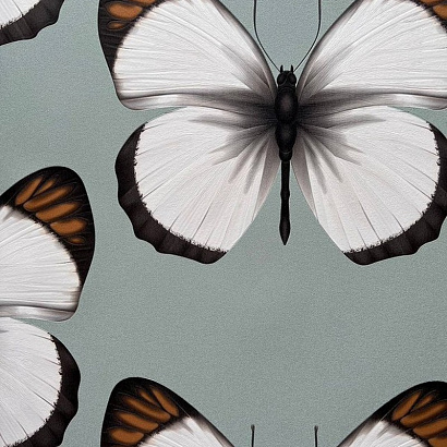 Обои 54401-4 Andrea Rossi Cheradi Andrea Rossi коллекция Cheradi производства Италия в интернет-магазине Обоитрейд