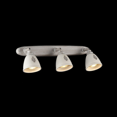 Спот Maytoni Spot SP289-CW-03-BG