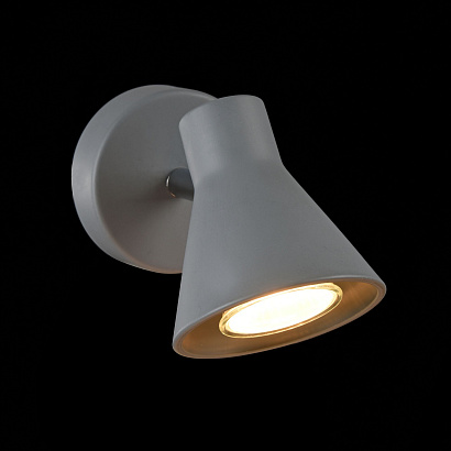 Спот Freya Loft FR4308-WL-01-GR