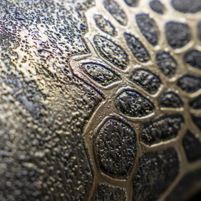 Обои 70586-42 R аспект Анаконда