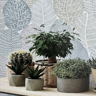 Обои 868258 Rasch Symphony Rasch коллекция Symphony производства Германия в интернет-магазине Обоитрейд