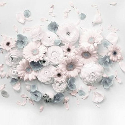 Обои 306011 BN International Sweet dreams BN International коллекция Sweet dreams (BN International) производства Нидерланды в интернет-магазине Обоитрейд