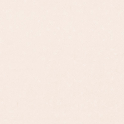 Обои HC71996-51 Palitra Home Color Пионы