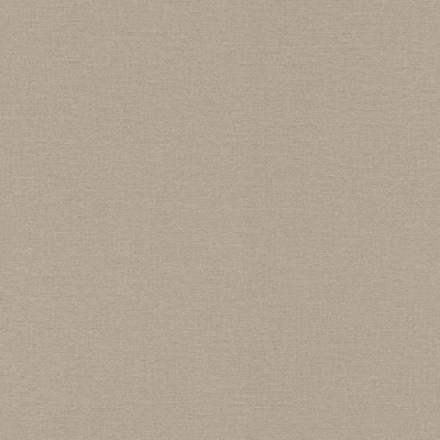 Обои 555868 Rasch Lirico