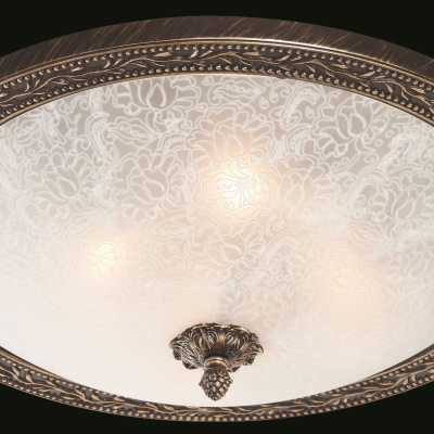 Потолочный светильник Maytoni Ceiling & Wall C906-CL-04-R