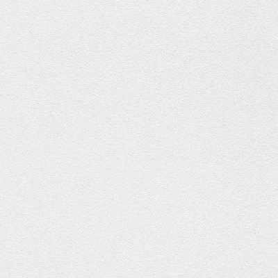 Обои 161304 Rasch Wallton