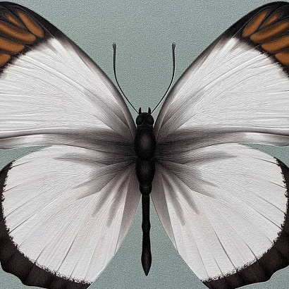 Обои 54401-4 Andrea Rossi Cheradi Andrea Rossi коллекция Cheradi производства Италия в интернет-магазине Обоитрейд