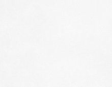 Обои 5010-130 Rips Private R / NC Флизелин