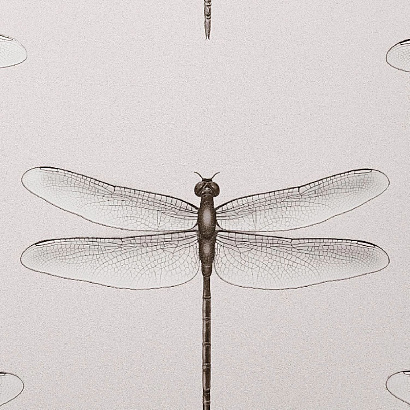 Обои 54426-6 Andrea Rossi Cavolli Andrea Rossi коллекция Cavolli производства Италия в интернет-магазине Обоитрейд