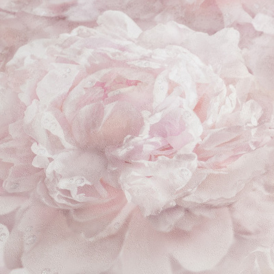 Обои HC71995-51 Palitra Home Color Пионы