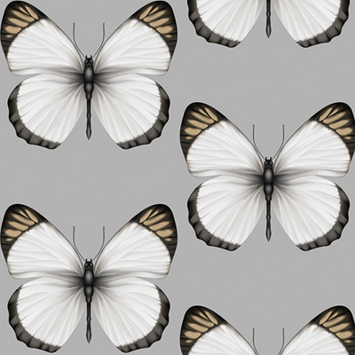 Обои 54401-6 Andrea Rossi Cheradi