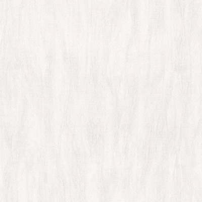 Обои 80625 Prima Italiana Голубь