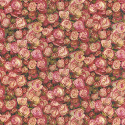 Обои BM25029 Blumarine Блюмарин №2