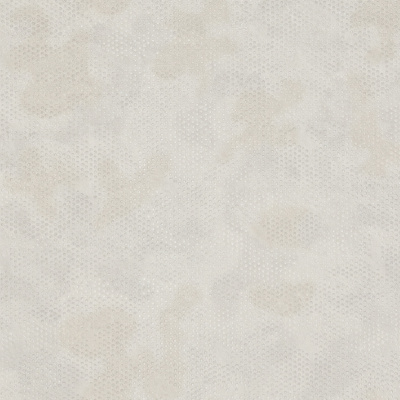 Обои R 24127 Fipar Meteora