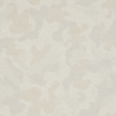 Обои R 24122 Fipar Meteora