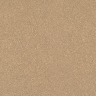 Обои 5068-64 Bernardo Bartalucci Legend