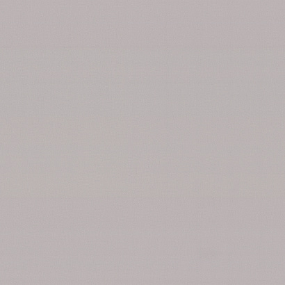 Обои PL72536-28 Палитра Magnolia Палитра коллекция Magnolia производства РОССИЯ в интернет-магазине Обоитрейд