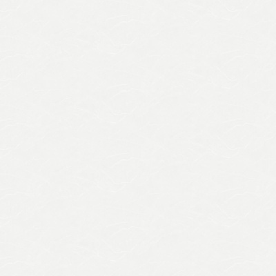 Обои W190101 Rasch Bright Whisper