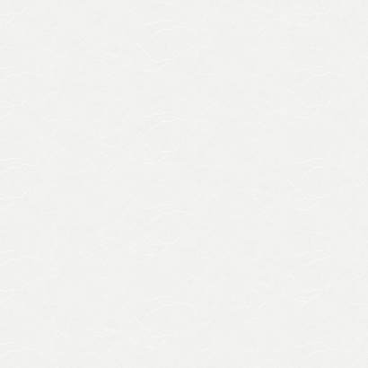Обои W190101 Rasch Bright Whisper Rasch коллекция Bright Whisper производства  в интернет-магазине Обоитрейд