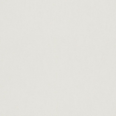 Обои 247404 Rasch Bambino 17