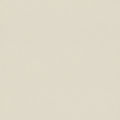 Обои 545890 Rasch En Suite