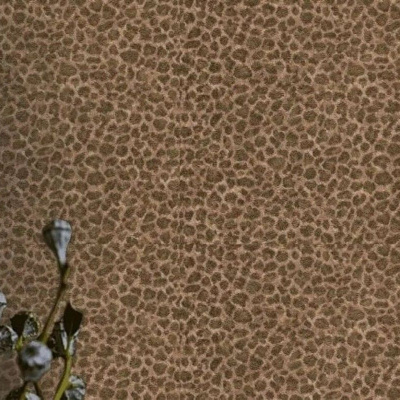 Обои 916898 Rasch Celebrity