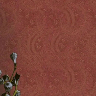 Обои 916720 Rasch Celebrity