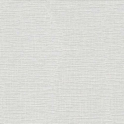 Обои 2506-12 AS Creation Antivandal AS Creation коллекция Antivandal производства РОССИЯ в интернет-магазине Обоитрейд