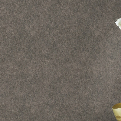 Обои 617160 Rasch Linares