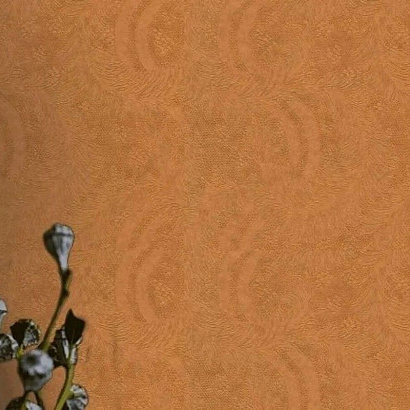 Обои 916782 Rasch Celebrity Rasch коллекция Celebrity производства Германия в интернет-магазине Обоитрейд