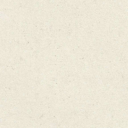 Обои 520828 Rasch Concrete Rasch коллекция Concrete производства Германия в интернет-магазине Обоитрейд