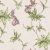 HC71541-22 Обои HC71541-22 Home color Colibri