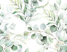 Обои 88974 Marburg Fresh Up