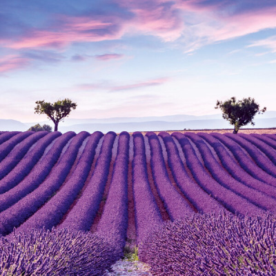 Обои 35643 Marburg Gloockler Pompoos Provence