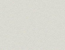 Обои W189115 Rasch Bright Whisper