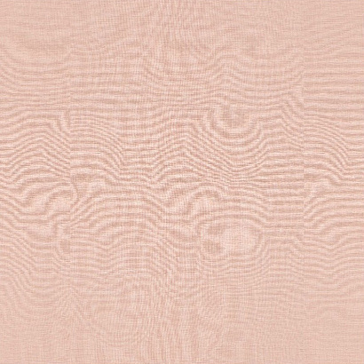 Обои 531350 Rasch Club Botanique / Amazing Rasch коллекция Club Botanique производства Германия в интернет-магазине Обоитрейд