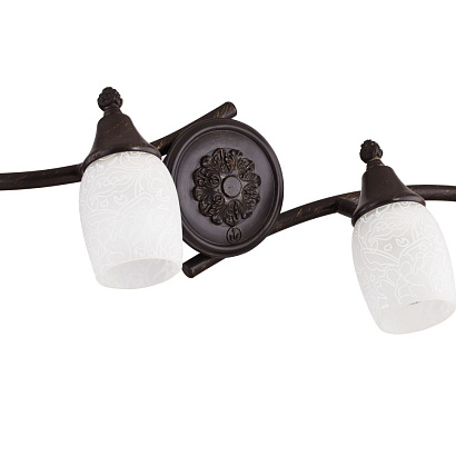 Спот Maytoni Spot SP563-CW-04-R