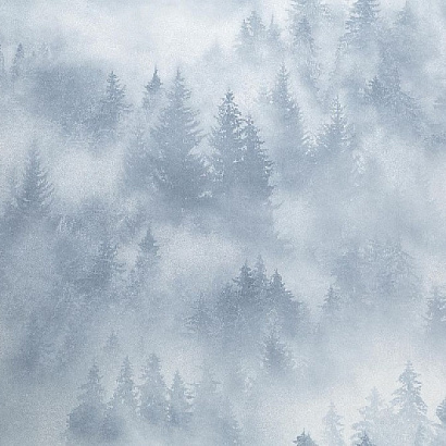 Обои HC71960-46 Home color My Forest Home color коллекция My Forest производства РОССИЯ в интернет-магазине Обоитрейд