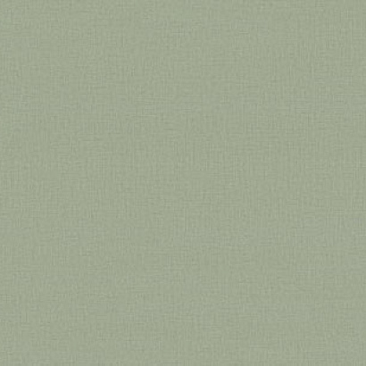 Обои 7302-10 Euro Decor Base Euro Decor коллекция Base производства РОССИЯ в интернет-магазине Обоитрейд