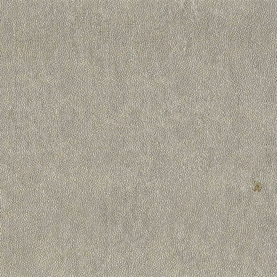 Обои RC17082 Roberto Cavalli Home 6