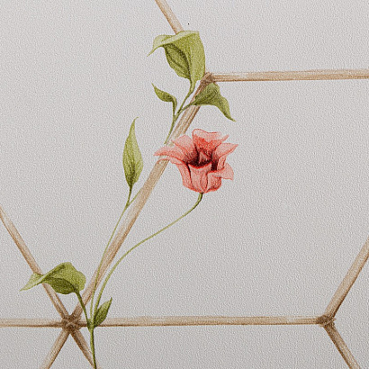 Обои TC72063-21 Trend Color Birds Trend Color коллекция Birds производства РОССИЯ в интернет-магазине Обоитрейд