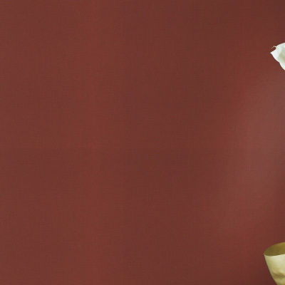 Обои 531374 Rasch Club Botanique / Amaizing