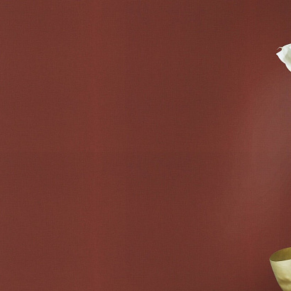 Обои 531374 Rasch Club Botanique / Amaizing Rasch коллекция Club Botanique производства Германия в интернет-магазине Обоитрейд